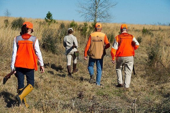covey rise bird hunt 030