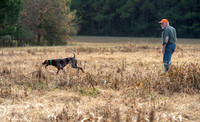 Field trial 015
