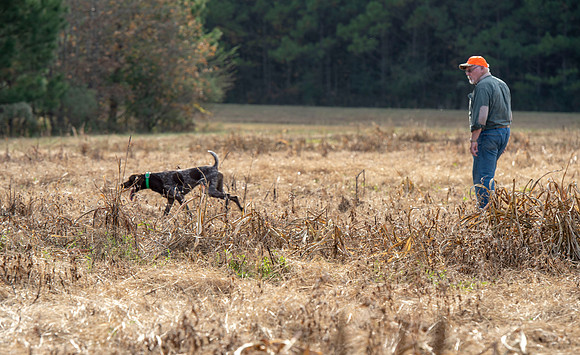 Field trial 015
