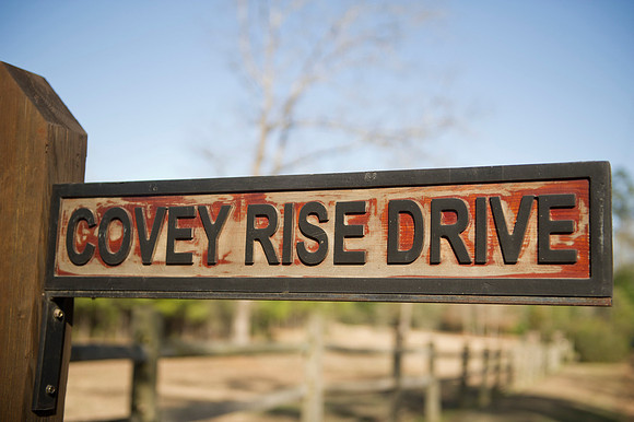 Covey Rise 097
