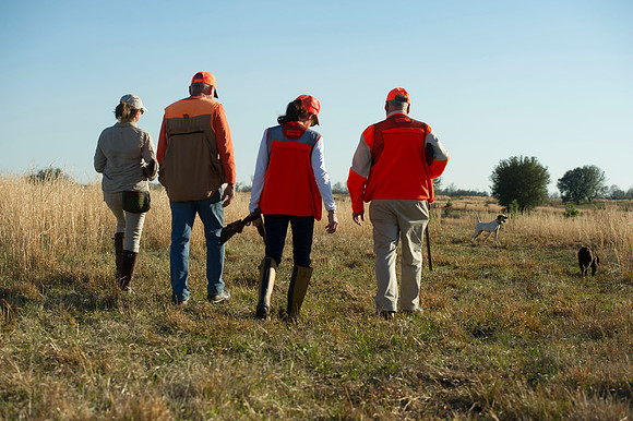 covey rise bird hunt 092