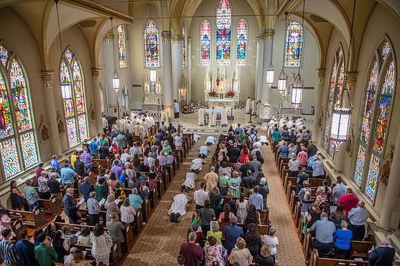 diaconate ordination 268