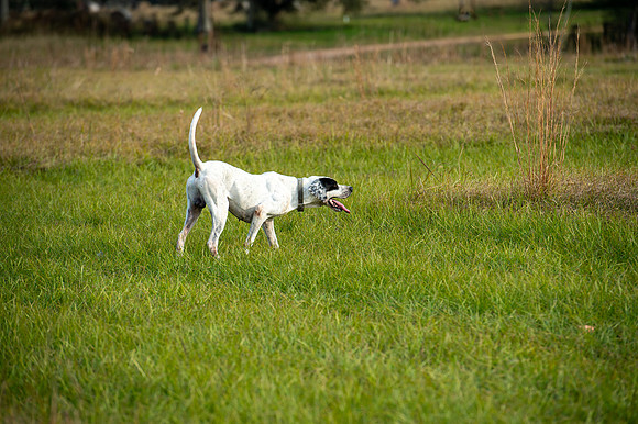 Hayes Garrett hunt 045