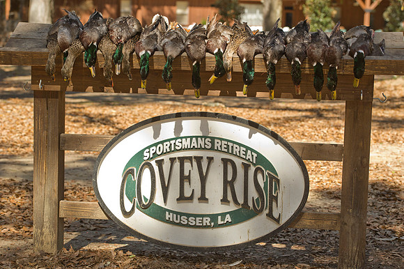 Covey Rise 067