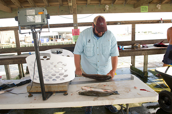 CHS Alumni Fishing Rodeo 2014 0042