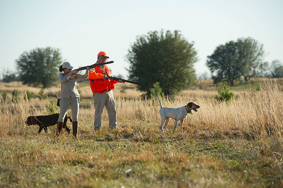 covey rise bird hunt 097