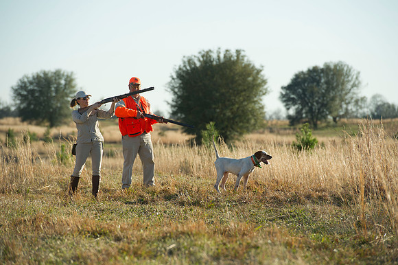 covey rise bird hunt 098