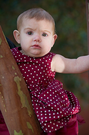 Colvin family 091