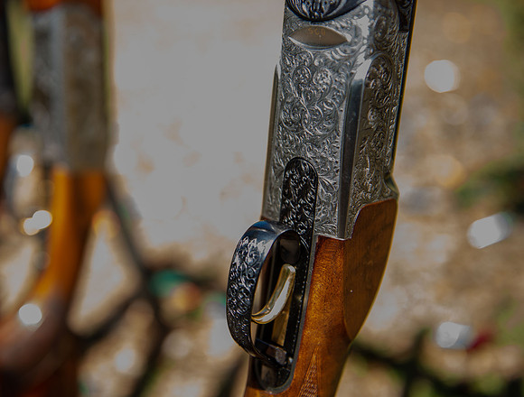 CCA sporting clays 240