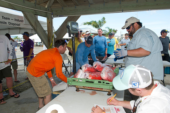 2016 CHS alumni Fishing rodeo 322