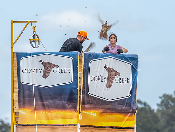 Covey Creek 251