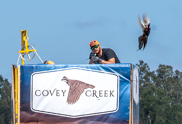Covey Creek 204