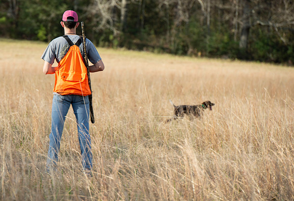 Field trial 018