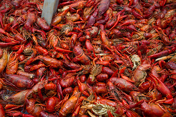 Seafood gala 035