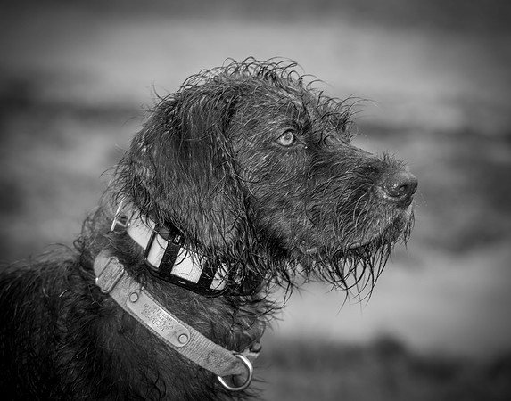 120625 Covey Creek 064_1
