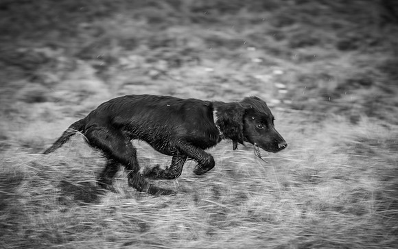 120625 Covey Creek 205_1