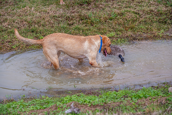 120625 Covey Creek 202