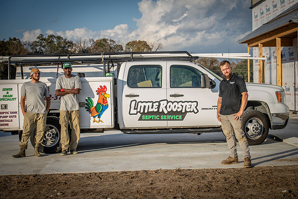 Little Rooster 318
