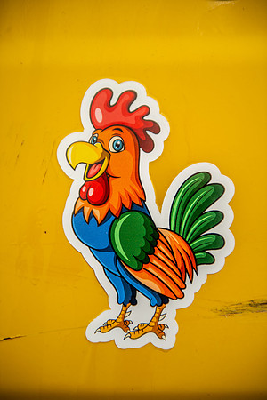 Little Rooster 265