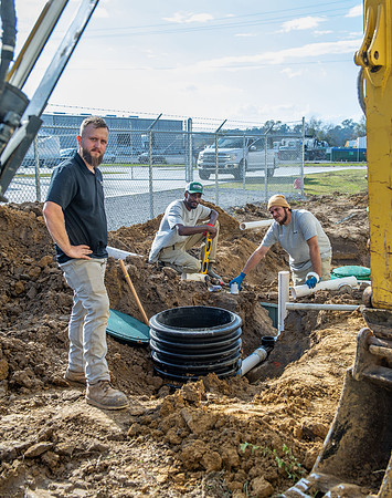 Little Rooster 260