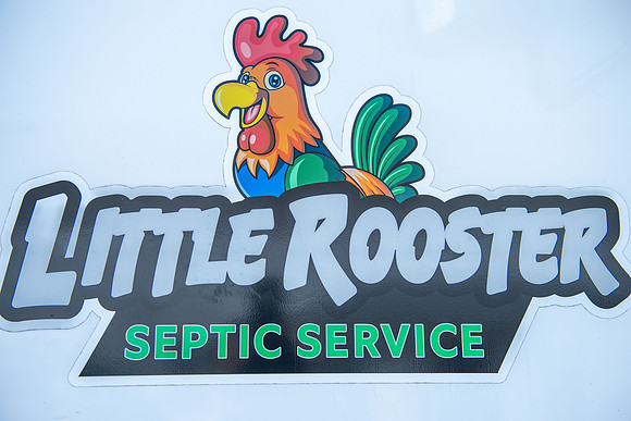 Little Rooster 255