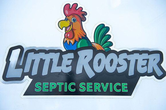 Little Rooster 254