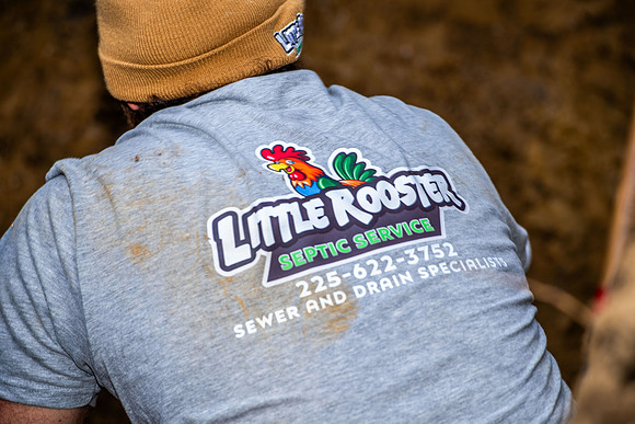Little Rooster 082