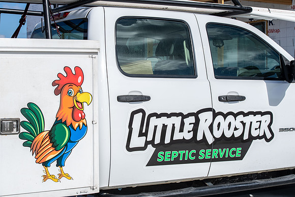 Little Rooster 025