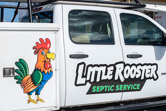 Little Rooster 024