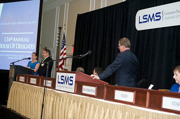 LSMS 2015 241