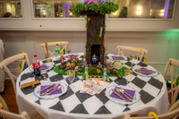 2026 LLBTR ball 014