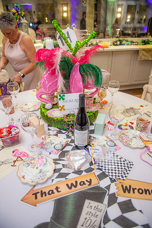 2026 LLBTR ball 020