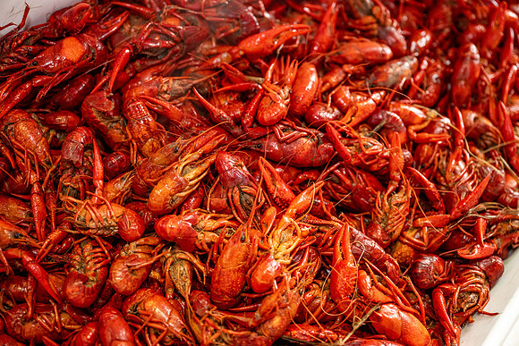 2026 seafood gala 040