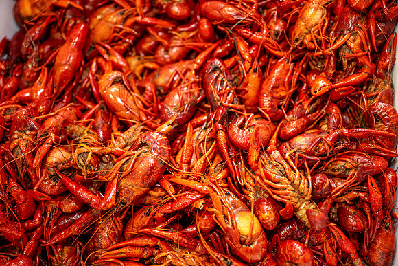 2026 seafood gala 041
