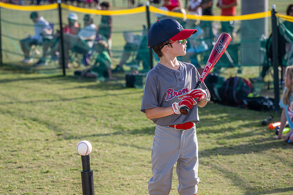 2026 Braves 113