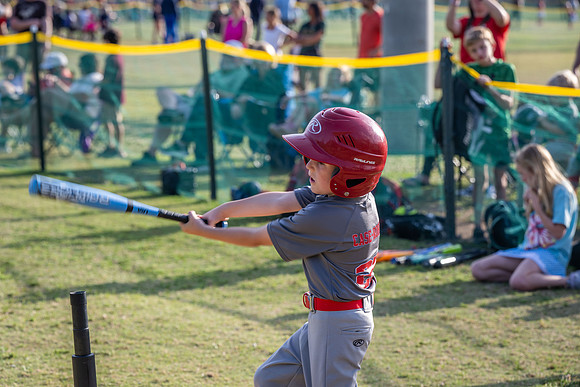 2026 Braves 117