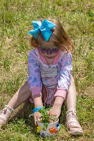 2026 Dream Day 478