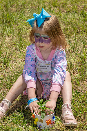 2026 Dream Day 479