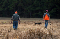 Field trial 016