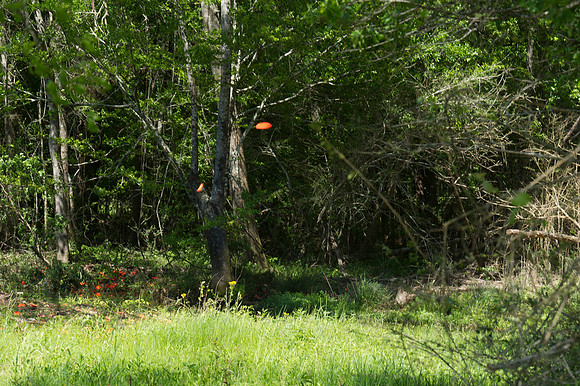 2017 CCA Sporting Clays  312