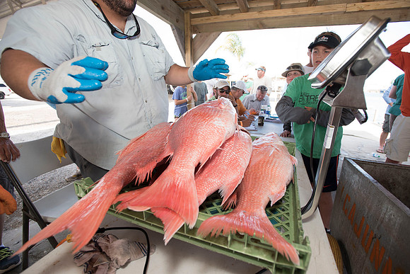 CHS fishing rodeo 2018 128