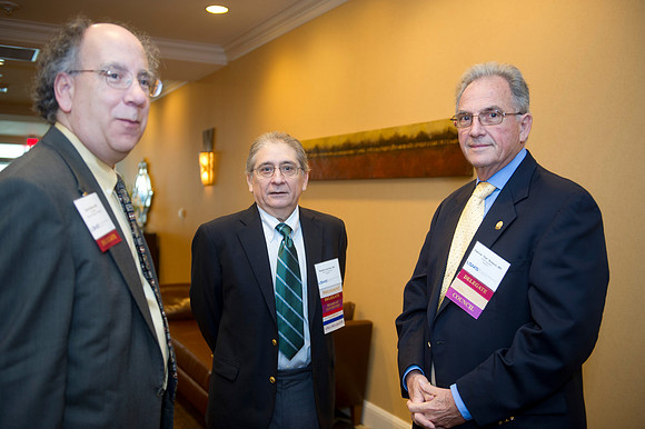LSMS 2015 010