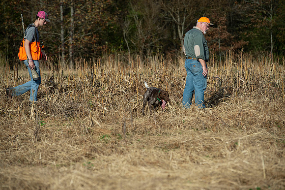 Field trial 031
