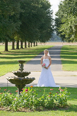 Lindy's bridals 164