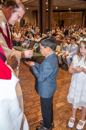 Aloysius 1st communion 115