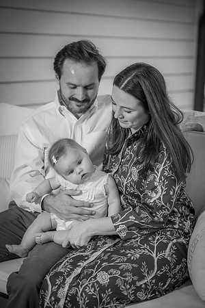 Ortego family 163