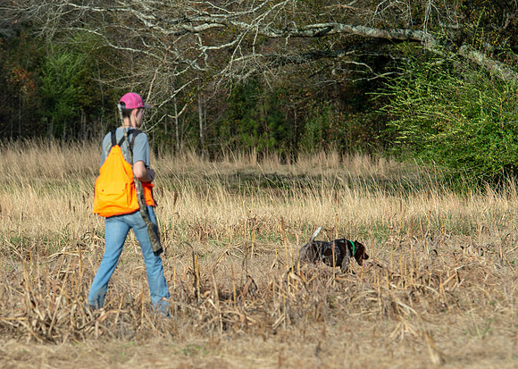 Field trial 028