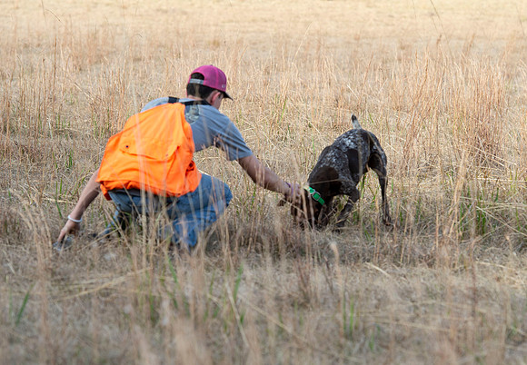 Field trial 023
