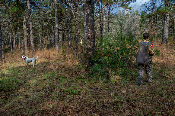 Parnell quail hunt 025