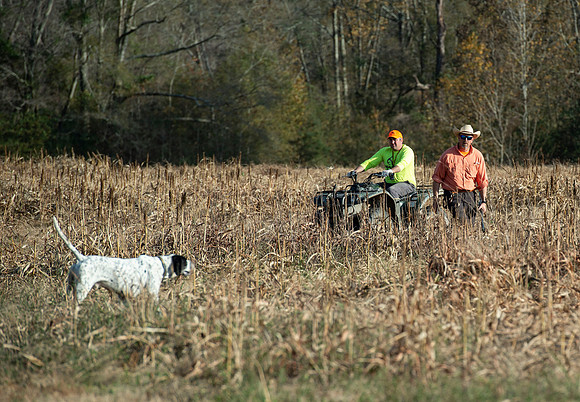 Field trial 040